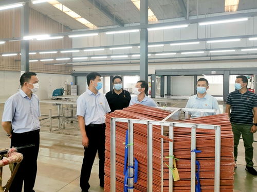 強化防疫與優化服務并重，陳集鎮迎來市領導專項指導